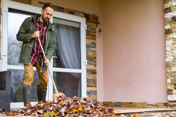 Best Household Junk Removal  in Manning, IA